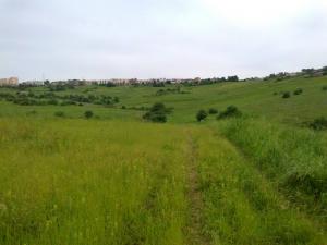 Champ agricole à Azazga