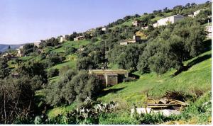 Village d'Ichoukren (Wilaya de Tizi ouzou)