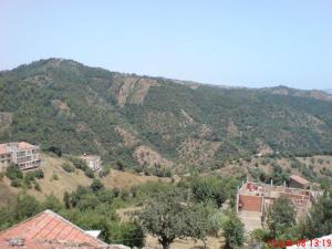 Verdure sur les montagnes de Tizi ouzou