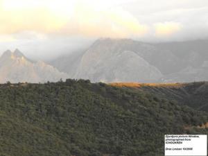 La forêt de Draa el Mizan