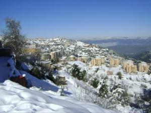 La comune de Larbaa Nath Irathen Sous la Neige