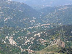 Les Forêts de Tizi ouzou