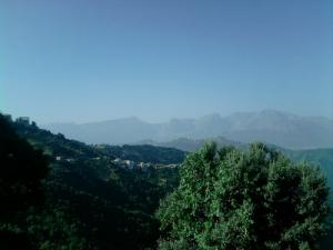 Verdure sur la commune de Larba Nath Irathen