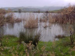Retenue d'eau à Tadmait