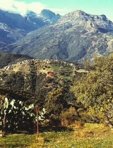 Au nord des montagnes du Djurdjura