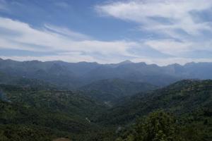 Les Forêts du Djurdjura