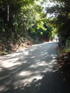 UNE RUE DE OUAGHZENE