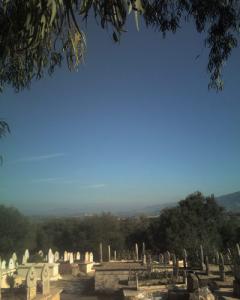 Cimetière de Mdouha