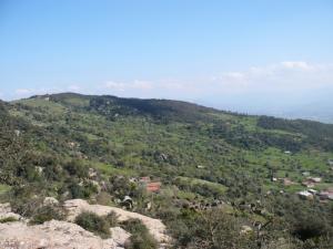 Les vertes forêts de Tizi ouzou