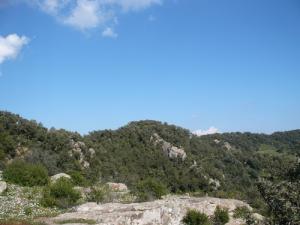 Vuede la forêt de Taassast