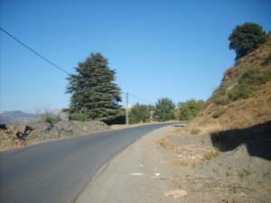 Une allée sur la périphérie de Tizi ouzi