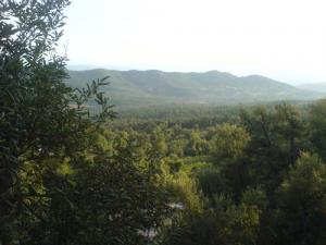 Les forêts de Tizi ouzou