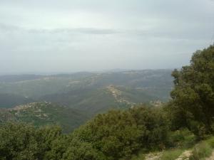 Forêts verdoyantes de Tizi ouzou