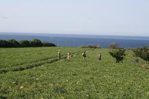 Une ferme aux alentours de Tizi ouzou