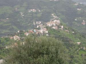 Village de MAAOUIA (MEKLA) 