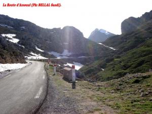 La Route d'Assoual (Wilaya de Tizi ouzou)