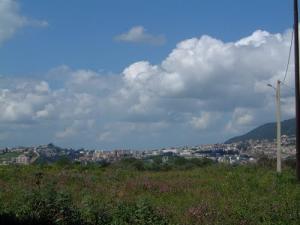 La ville de Tizi ouzou