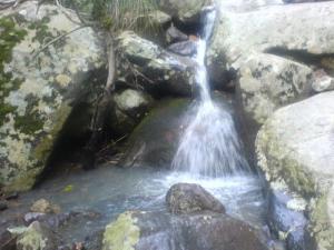 Petite cascade dans la forêt deTifrit