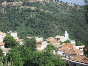 Village Agoulmime (Commune de Larbaa Nath Irathen)