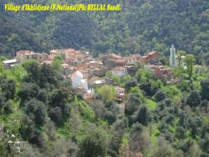 Village d'Ikhlidjene (Commune de Larbaa Nath Irathene)