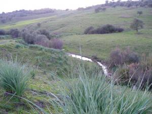 Paysage de Tizi ouzou