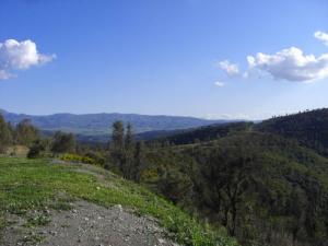 Les vertes forêts de Tizi ouzou