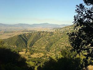Vue sur la forêt de Taourirt