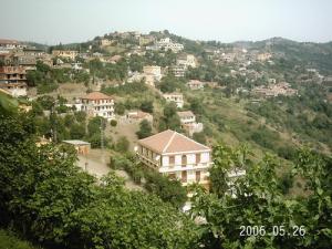 Taguemount el Djedid