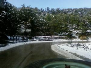 La Forêt de Tizi ouzou en Hiver