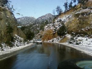 Sur la route de la Forêt à Tizi ouzou