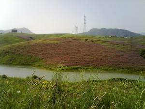 Vue sur le lac de Sidi Naamane