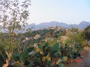 Taguemount el Djedid en face du Djurdjura