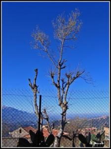 Village d'Ighil (Commune de Boghni)