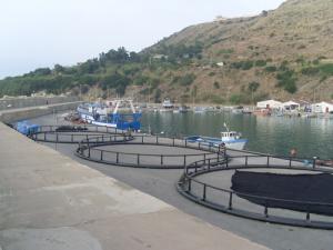 Port d'Azzeffoun