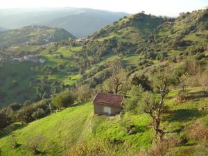 Village de Ait Lahcene (Commune de Beni Yenni)