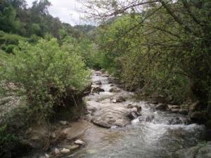 Une rivière dans la montagnes de Tizi ouzou