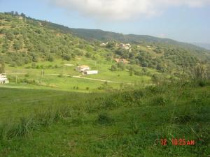 Verdure de Bouyadif au printemps