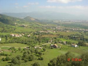 Végétation et Urbanisme aux alentours de Tizi ouzou
