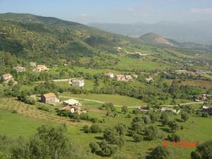Végétation et Urbanisme aux alentours de Tizi ouzou