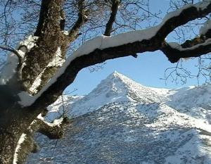 Les Blancs Sommets du Djurdjura