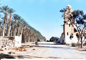 صورة قديمة لواحة مدينة  نزلة