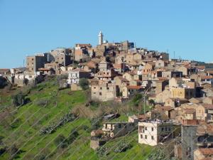 Village de Taguemount el Djedid