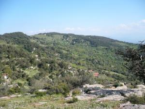 Paysage de Tizi ouzou