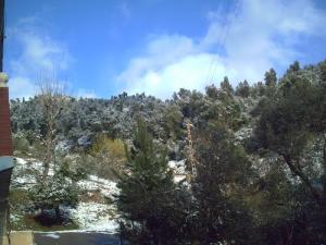 Les forêts de Tizi ouzou sous la neige