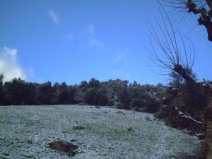 Aguellaleze Tizi (Commune de Tifra)