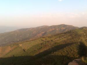 الغابات الخضراء لبلدية  تيمزغيت