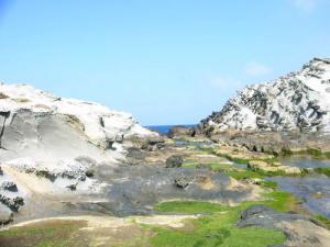Prés du phare de Cap Corbelin