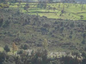 Région de Houra, Cimetière  vu de l'ouest