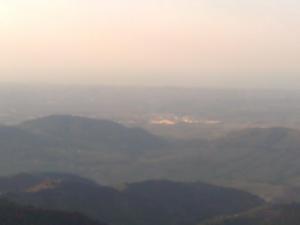 غابات بلدية تيمزغيت