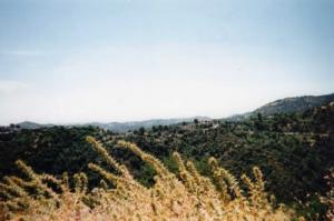 Ait-Sidi-Smail (Périphérie de Tizi ouzou)